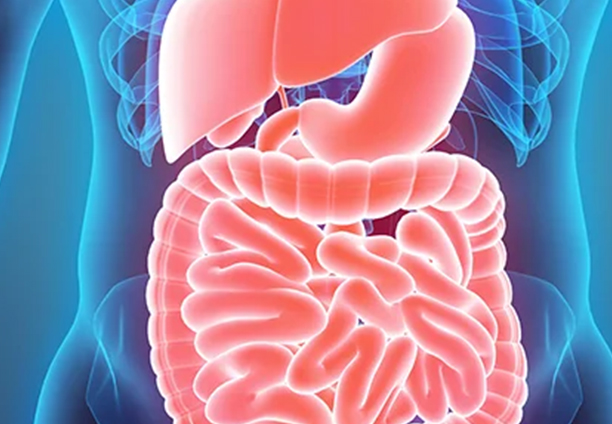 Best Liver Specialist and Colonoscopy in Hyderabad